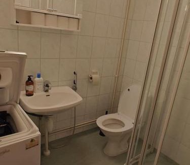 Larsmo Apartamento | Brooms - Newly renovated central studio apartment