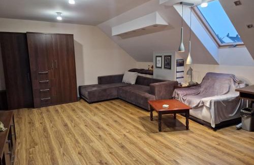 Pierwoszyno Casa | Brown room F in house