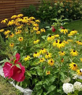 Bad Radkersburg Apartamento | Brunnenpark Ruhepol