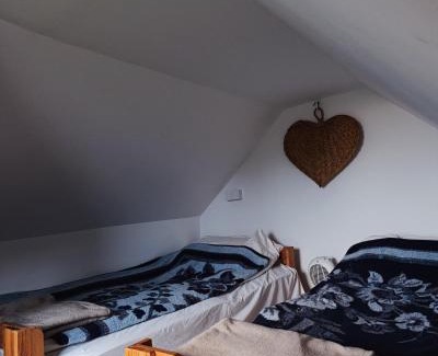 Sokolac Casa | Brvnara Gromki - Mountain house