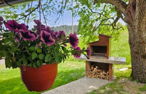 Bajina Basta Casa | Brvnara ispod stare kruške