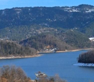 Bajina Basta Apartamento | Brvnara JEZDA