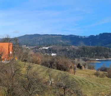 Bajina Basta Apartamento | Brvnara JEZDA