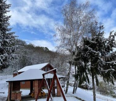 Cerevic Chalet De Esquí | Brvnara Popović