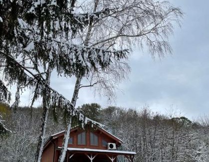 Cerevic Chalet De Esquí | Brvnara Popović
