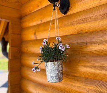 Zdrelo Casa | Brvnare MADERA Banja Ždrelo
