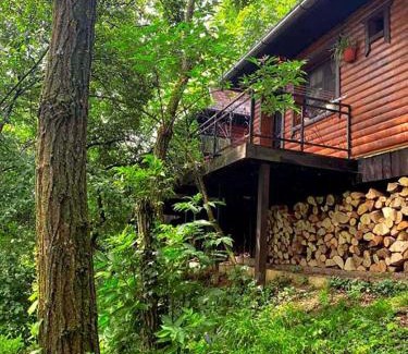 Vrdnik Apartamento | Brvnare - Ranč Platan