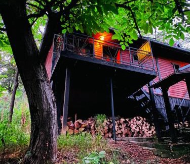 Vrdnik Apartamento | Brvnare - Ranč Platan