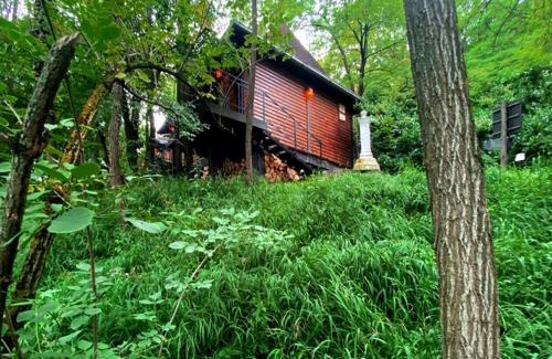 Vrdnik Apartamento | Brvnare - Ranč Platan