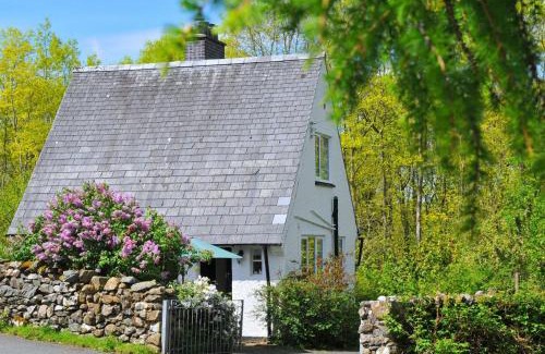 Dolgellau Casa | Bryn Araul