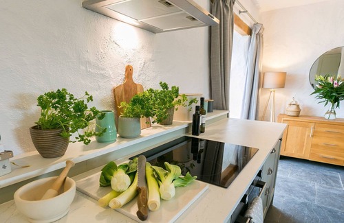 Bodorgan Cabaña | Bryn Eithin - a remote that sleeps 2 guests in 1 bedroom
