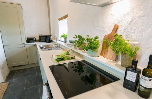 Bodorgan Cabaña | Bryn Eithin - a remote that sleeps 2 guests in 1 bedroom