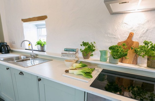Bodorgan Cabaña | Bryn Eithin - a remote that sleeps 2 guests in 1 bedroom