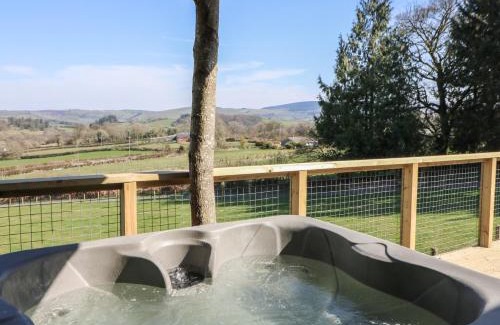 Llanddewi Ystradenny Casa | Bryn Hafod