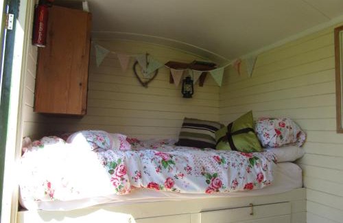 Llandysul Otro | Bryn Parc