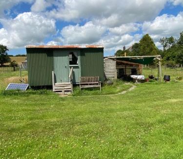 Llandysul Otro | Bryn Parc