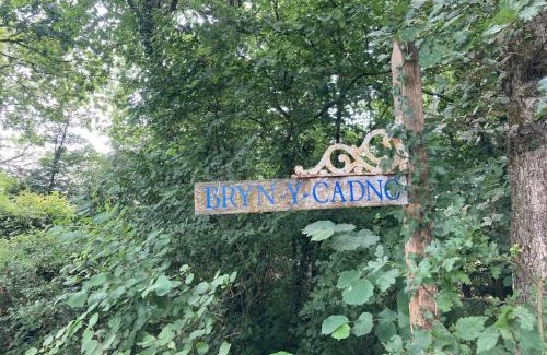 Pentrefelin Casa | Bryn y Cadno