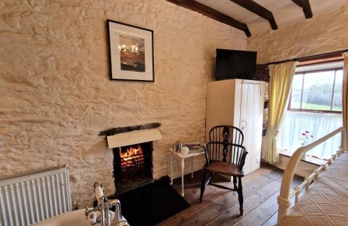 Blaencelyn Casa | Bryn-y-Gof