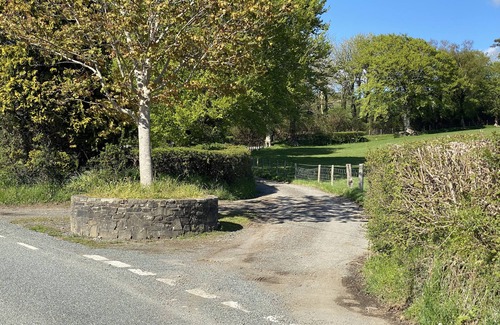 Tregaron Cabaña | Bryn Y Gog, Tregaron