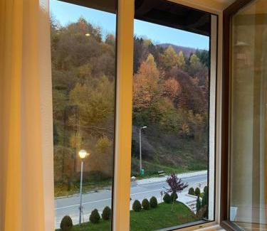 Kopaonik Apartamento | Brzece Apartman 23