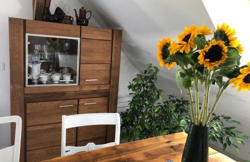 Cieplice Apartamento | Brzoza i Świerk z widokiem na góry