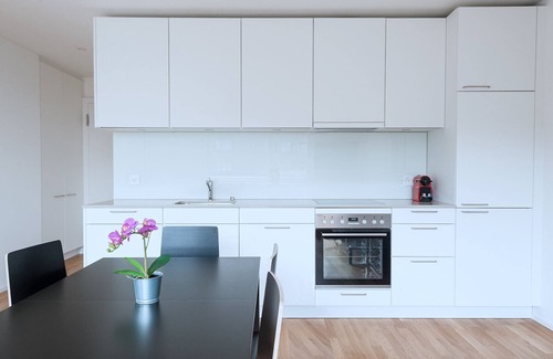 Basel City Centre Apartamento | BS Wolf V - Messe HITrental Apartment