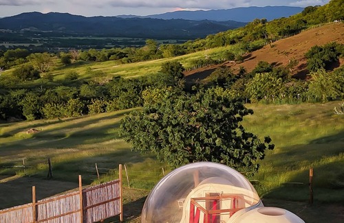 Llanos Costa Casa | Bubble Glamping in Puerto Rico / Sleep under the stars / Full bathroom inside
