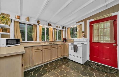 Brevard Cabina | Buck's Cabin near Brevard, NC Dog Friendly Wood stove, mtn views in forest.