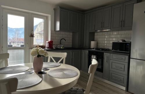 Campulung Moldovenesc Apartamento | Bucovina View apartment
