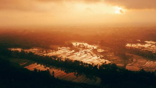 Payangan Casa | bucu hidden guest house, and meditation center