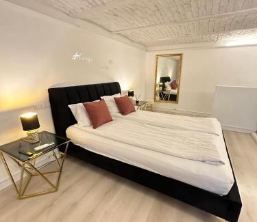 Terezvaros Apartamento | Budapest Central Opera with Gym & Spa
