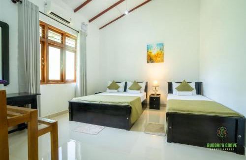 Anuradhapura Complejo | Buddhi's Grove