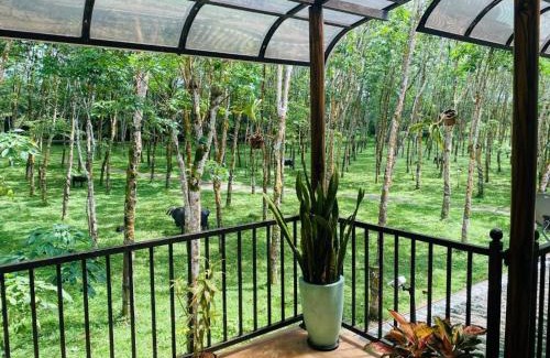 Madurawala Complejo | Buddothpado International Meditation Center