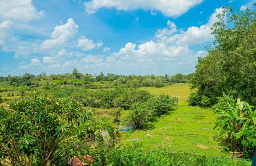 Millaniya Hotel | Buddothpado International Meditation Center