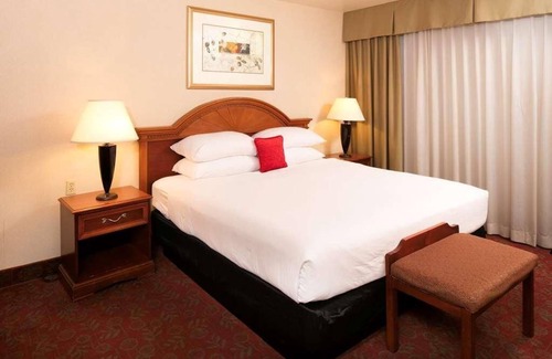 St. George Complejo | Budget Friendly Accommodations at Red Lion Hotel St. George! Pool, Parking, Gym