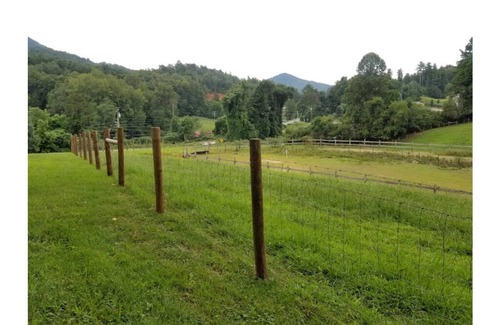 Bryson City Cama Y Desayuno | "Buffalo" Guestroom at bed and breakfast on11 park-like acres