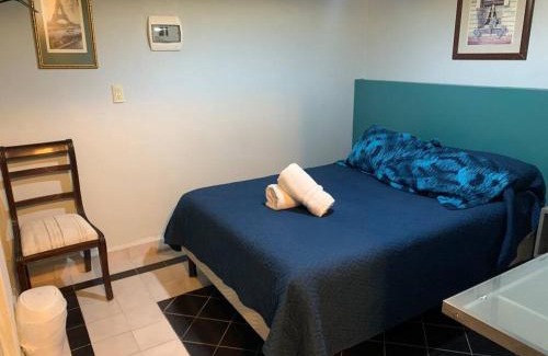 Roma Sur Apartamento | Buganvilias 11