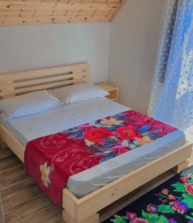 Shale Casa | Bujtina Kometa