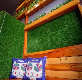 Bukit Indah Casa | Bukit Indah 8-16 Pax 5Min to Aeon Mall
