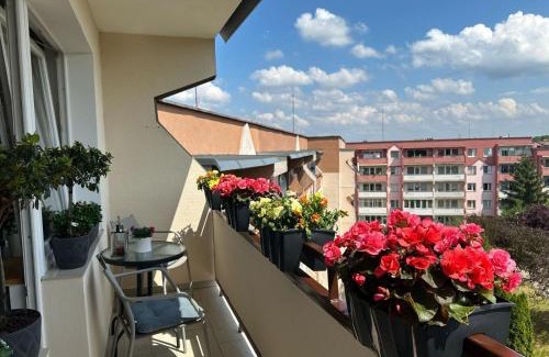 West Pomeranian Voivodeship Apartamento | Bukowe Apartments