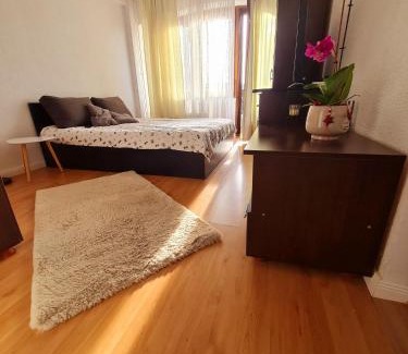 Curtea De Arges Apartamento | Bulevard View Studio