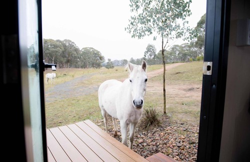 Martindale Casa | Bundaleer Tiny House 2 by Tiny Away