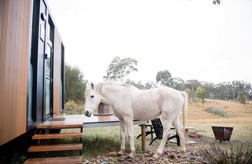 Martindale Casa | Bundaleer Tiny House 2 by Tiny Away