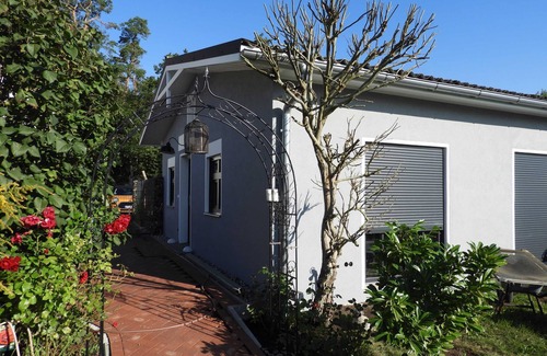 Seeheilbad Graal-Muritz Casa | Bungalow con jardín - Bungalow