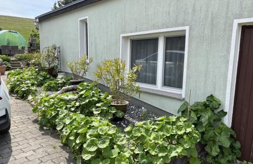 Gager Complejo | Bungalow