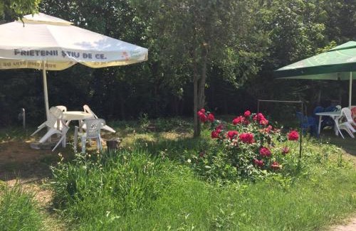 Eforie Cabina | Bungalow Eforie Nord