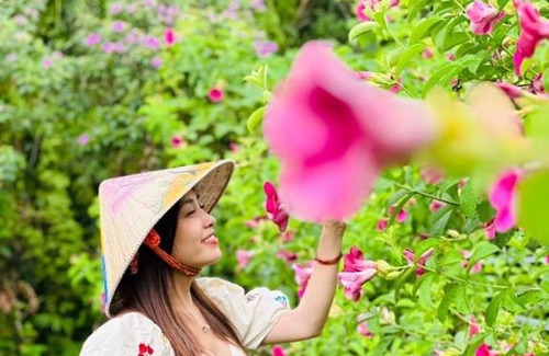 U Minh Apartamento | Bungalow - Farmstay Hoa Rừng U Minh