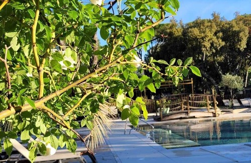 Vidauban Casa | Bungalow for rent on the Côte d'Azur