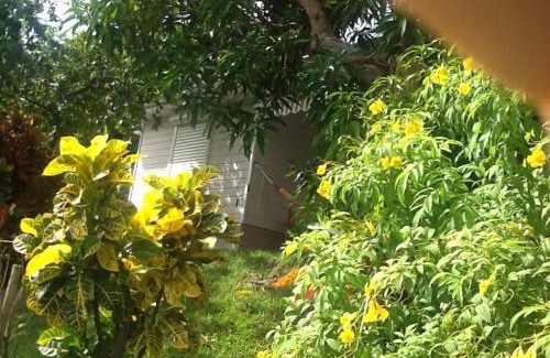 Le Robert Casa | Bungalow le manikou