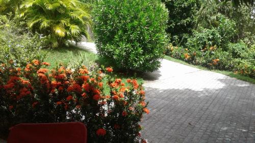 Le Robert Casa | Bungalow le manikou